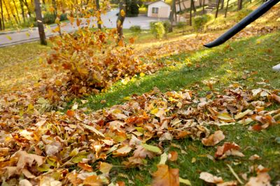 Prevents lawn disease.