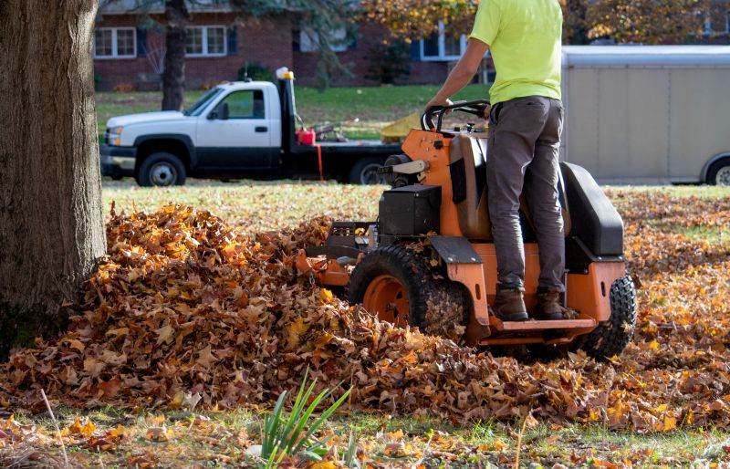 Fall Cleanup Services