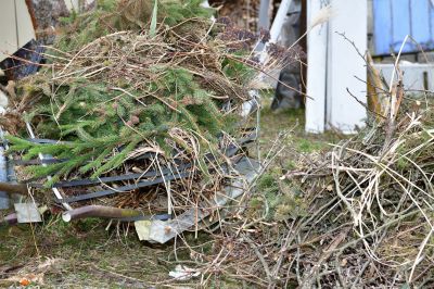 Brush Cleaning Service in Honolulu, HI