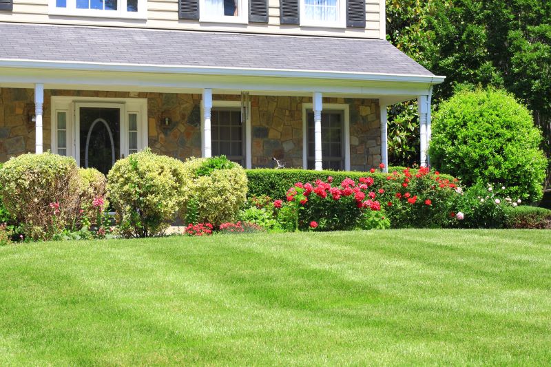 Bush Landscaping in Ventura County, CA