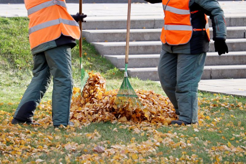 Fall Cleanup Services
