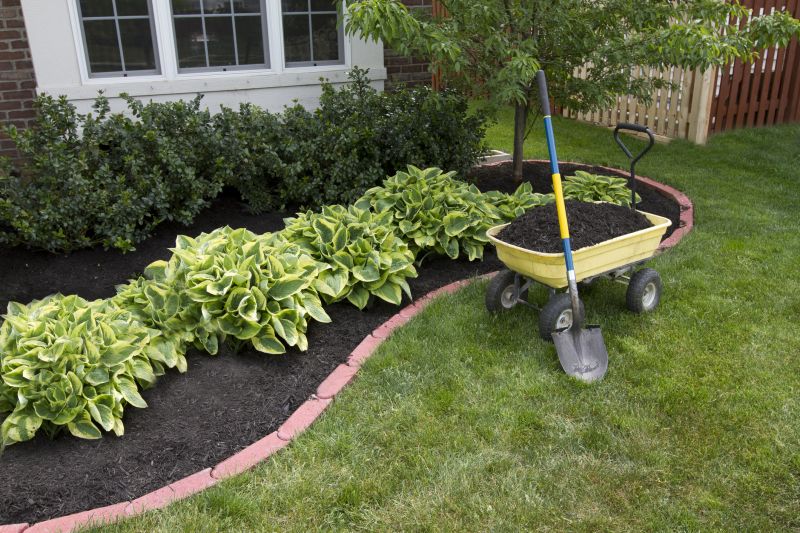 Garden Bed Preparation