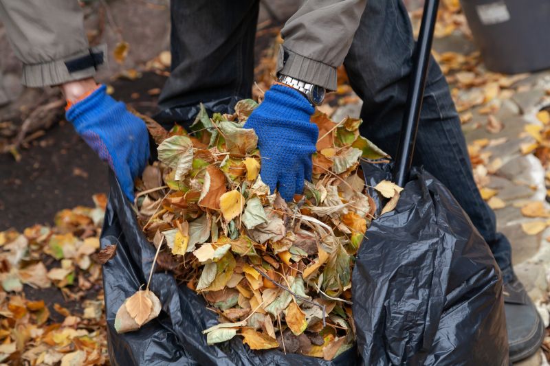 Fall Cleanup Services