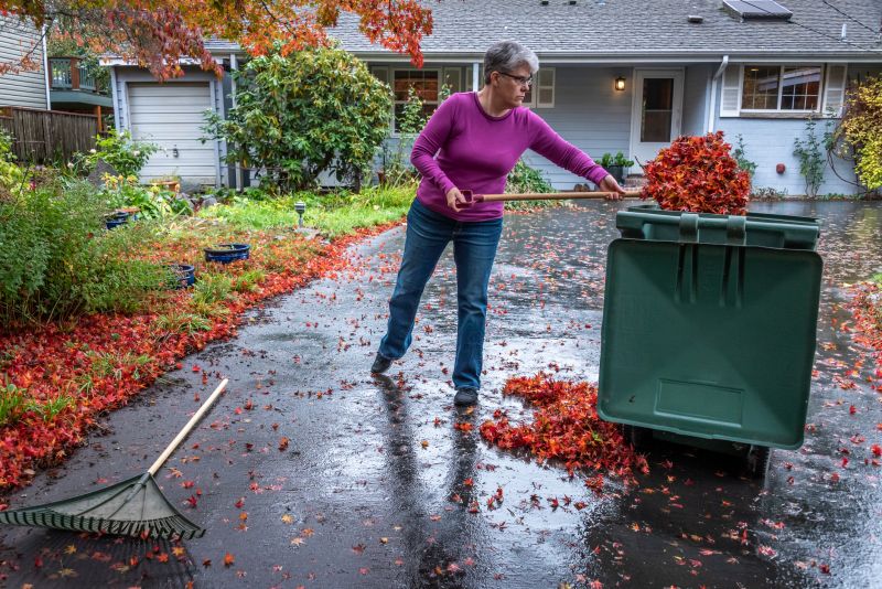 Fall Cleanup Services