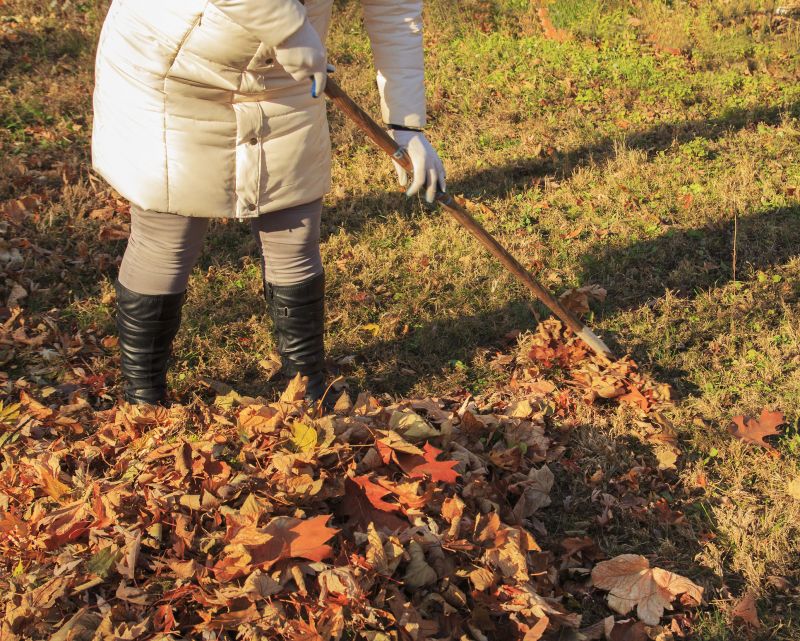 Fall Cleanup Services