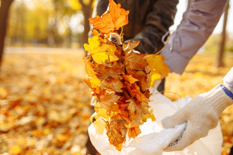 Fall Cleanup Services