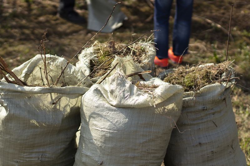 Fall Cleanup Services