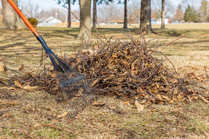 Cleaning Up Fallen Debris
