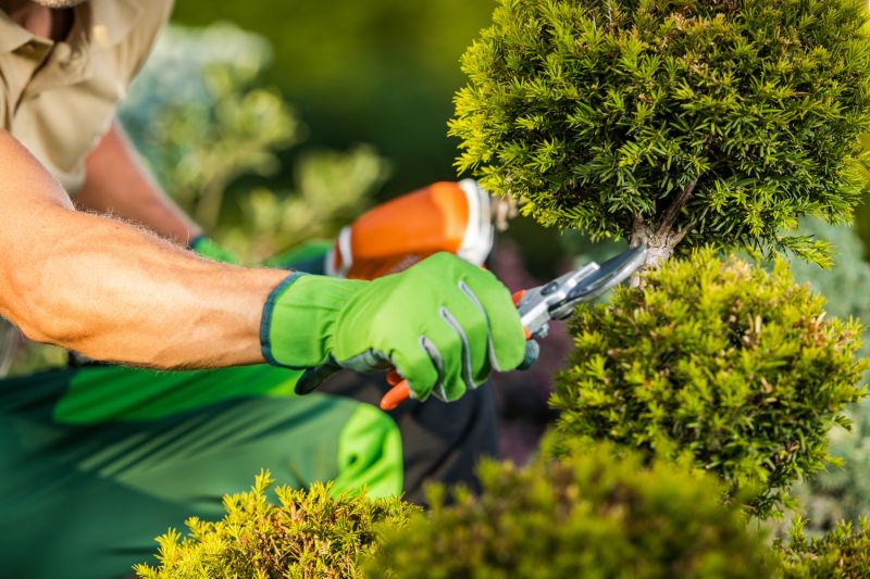 Landscape Trimming Service in Honolulu, HI