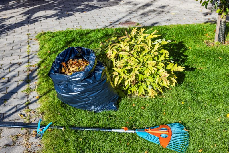 Products For Fall Cleanup Service in use