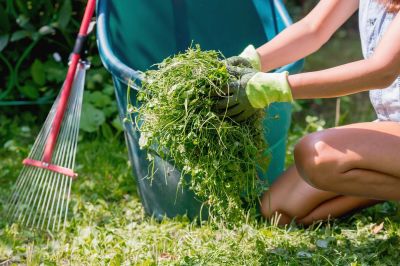 Spring Yard Clean Up Service in Honolulu, HI
